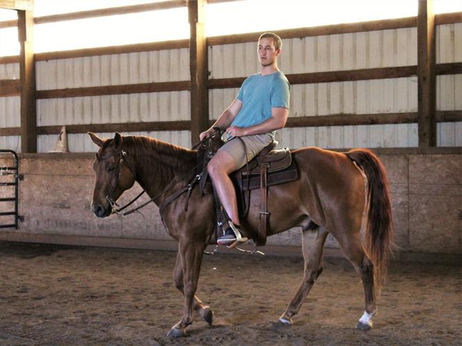 A7 Horse photo 2.jpg