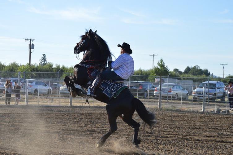 County Fair: final 24 hours