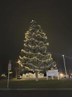 O Christmas Tree