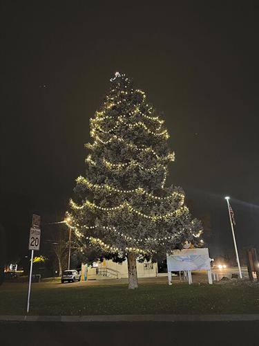 The Dalles has no shortage of holiday spirit with string lights covering most lightposts and trees in the town. Photo by Laurel Brown.