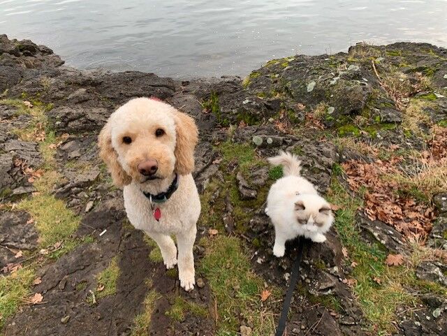 Joki and Lumi