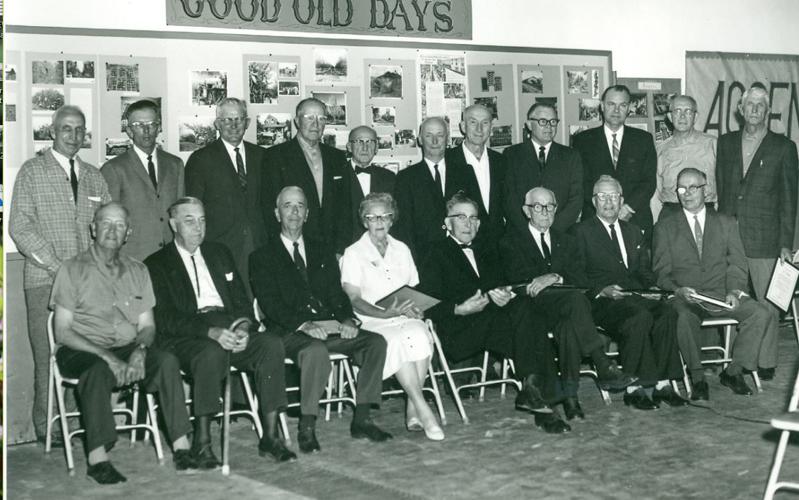 Roots and Branches: A grand mural