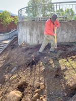Arbor Day event celebrates revitalized downtown pocket park