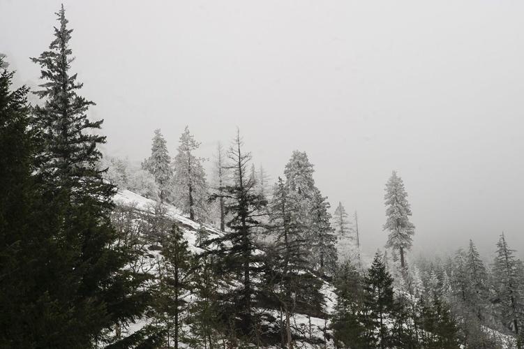 North Fork Mill Creek Frost line