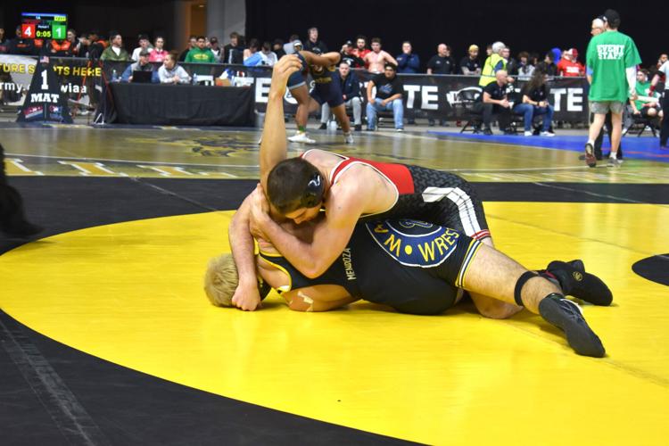 Sawyer by Dave Blevins2.jpg