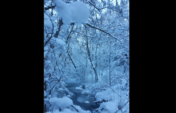 Snapshots of Winter