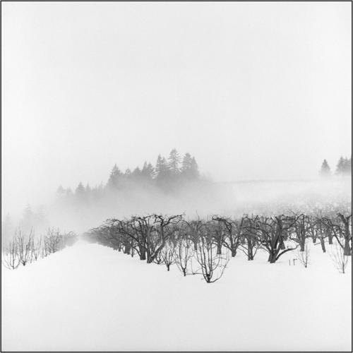 Kaleidoscope: ‘Straightforward vigor’