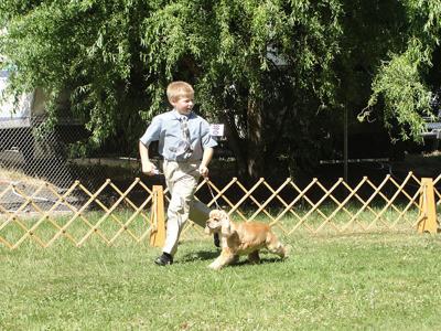 Got a dog and a kid? 4H is for you