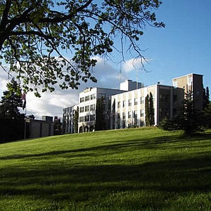 A14-CgCC.jpg