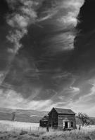 Pick of the Week: ‘Migration’ moves into CCA for the month of April