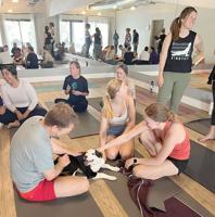 Yoga enthusiasts feel puppy love at Humane Society Fundraiser