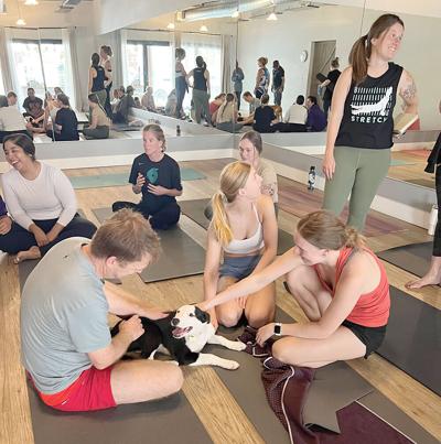 Puppy Yoga