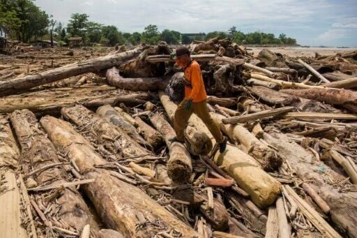 Timber washed away in floodwaters has fuelled speculation about the role deforestation played in the Indonesia disaster