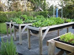 Raised Bed.jpg