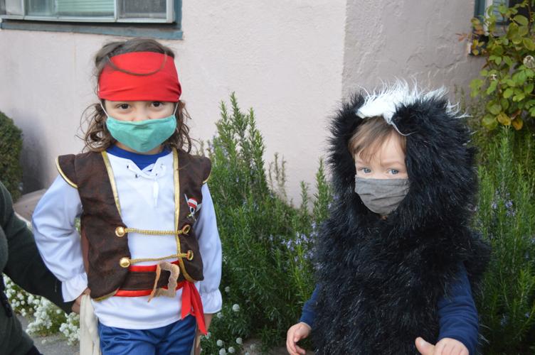 11-11 hr halloween, pirate and lion skunk.JPG