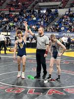 Farlow leads Hood River boys wrestlers at state