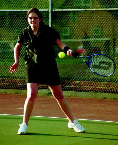 Van Gogh Days celebrates the sunflower