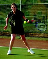 Van Gogh Days celebrates the sunflower