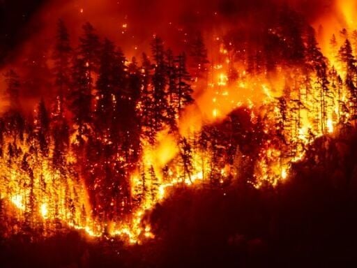 Wildfires in the Amazon, Canada and Siberia have brought home how air quality can be impacted on a vast scale