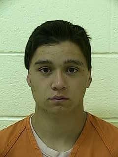 Sex offender gets 15-year sentence