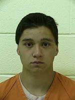 Sex offender gets 15-year sentence