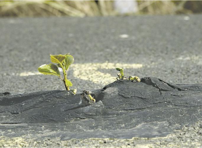 Riverfront Trail Notes #31-4.tif