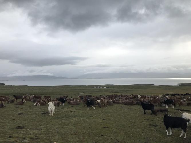 Travelogue Mongolia (7).JPG