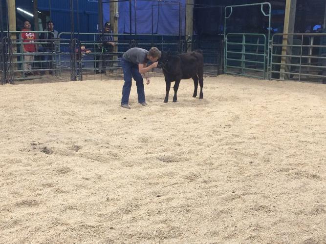 2015 Hood River News Staff Fair Moments