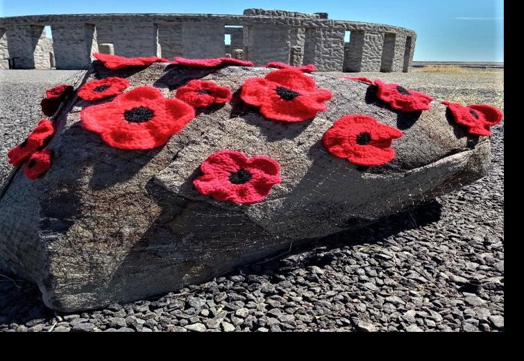 Poppy Project (2).jpg