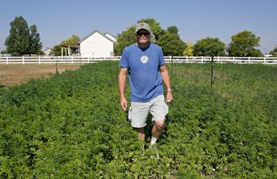 Pot may be legal, but homeowner agreements can ban