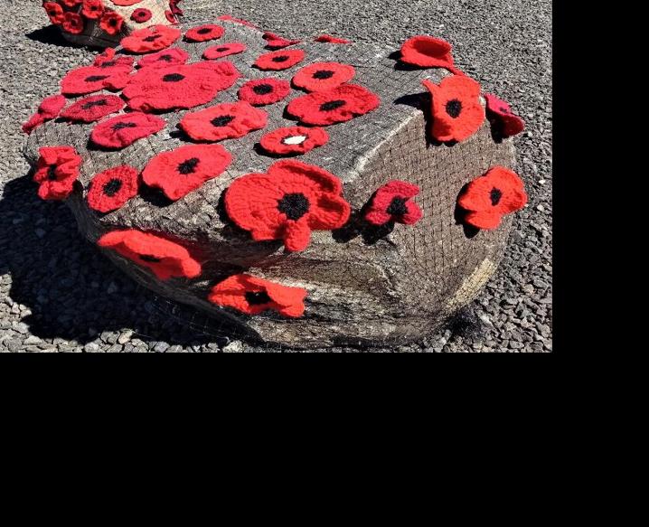 Poppy Project (3).jpg