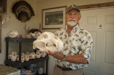 Lyle’s ‘King of the beetles’ lets larvae do the lifting