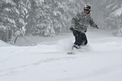 Fresh Tracks