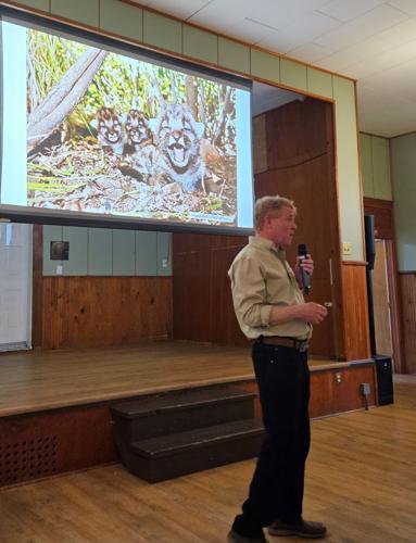 “Cougars of Klickitat County”