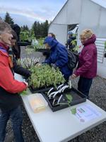 Central Gorge Master Gardener applications available now