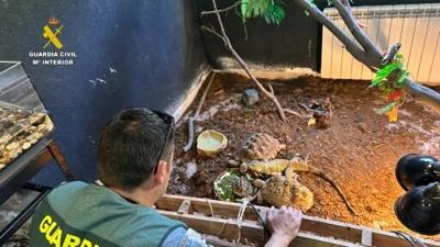 Police said most of the animals lacked documentation and came from 'irregular transfers'