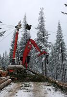 USFS’ ‘Red Hill Road’ sees closure