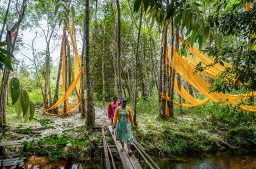 Villager Ika Magdalena (front) and her sister walk past trees tied with yellow cloth as a marker for sacred sites for their Dayak people