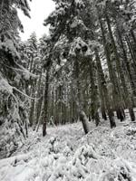 Return of La Niña brings cooler temps, precipitation