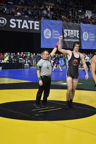 Sawyer by Dave Blevins3.jpg