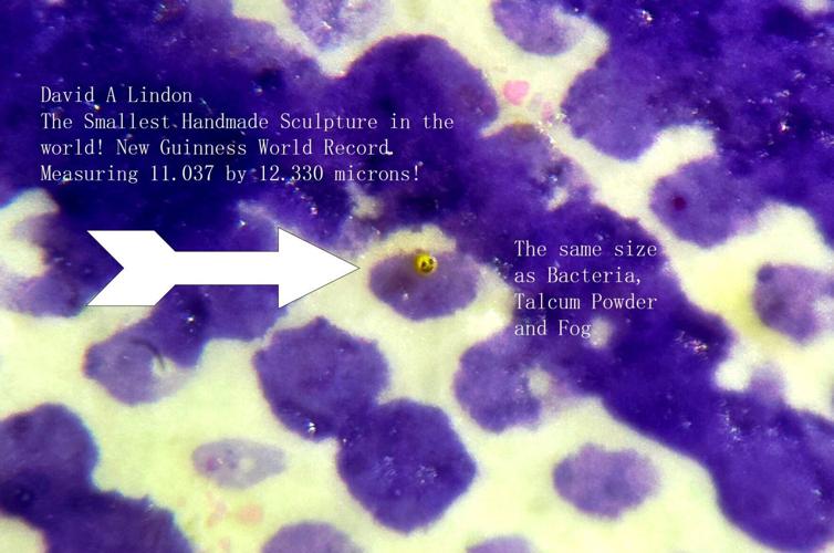 Artist sets World Record for smallest sculpture – can’t be seen by human eye