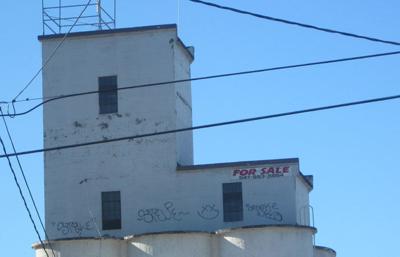 Police arrest teen tagger