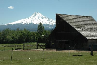 Rep. Mark Johnson proposes special Mt. Hood vehicle plate
