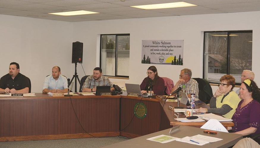 City Council splits 3-2 against proposed diversity declaration