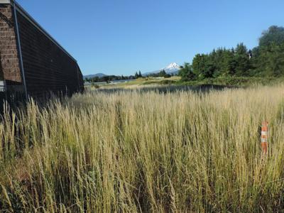 HR Parks District presents Guignard Road park proposal
