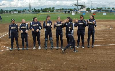 Perfect game ends HRV softball season