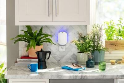 Spring Cleaning Your Kitchen? Here's How to Keep Bugs Out