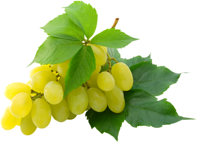 grapes.png