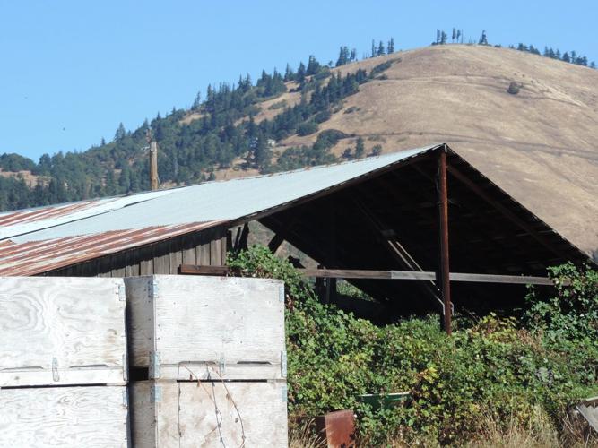 Kaleidoscope: Along the Road