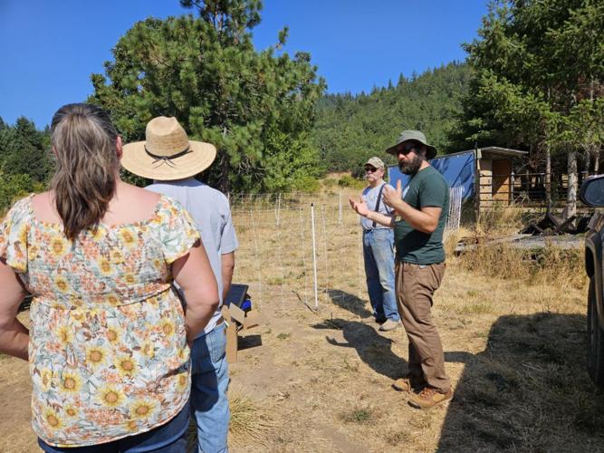 “Cougars of Klickitat County"